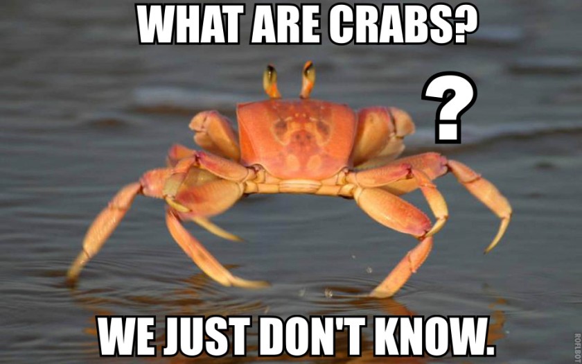 What Are Crabs?